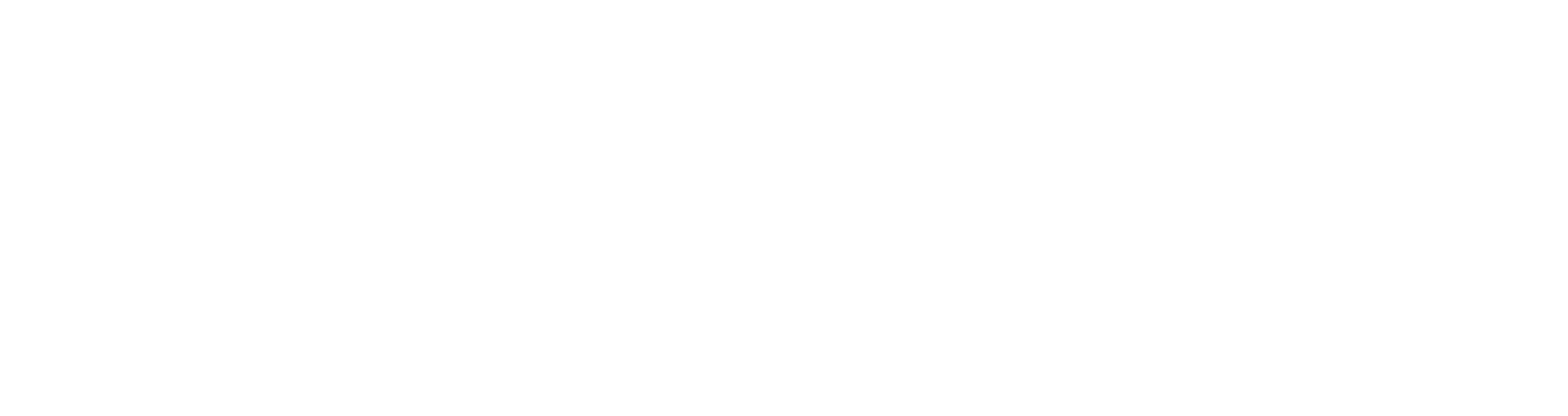 Business Insider logo in white